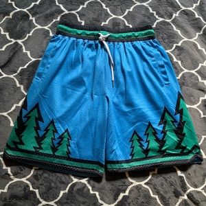 Minnesota timberwolves shorts